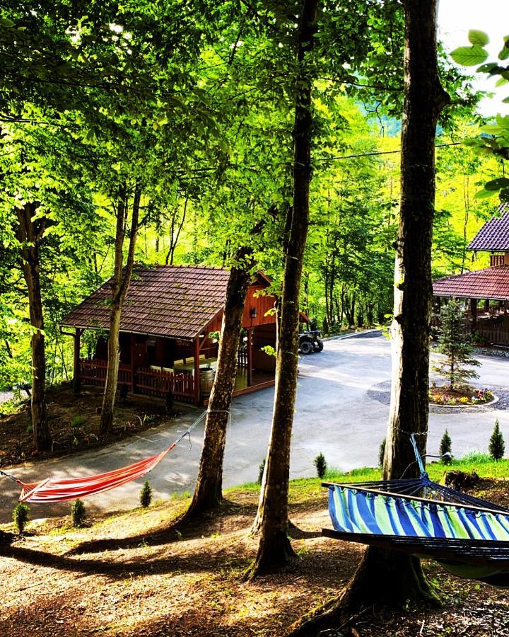 Pensiunea Valea Gepisului Grosi  Exterior photo