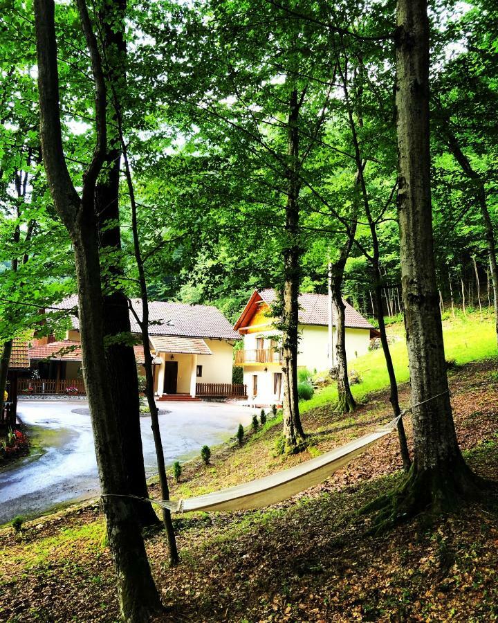 Pensiunea Valea Gepisului Grosi  Exterior photo
